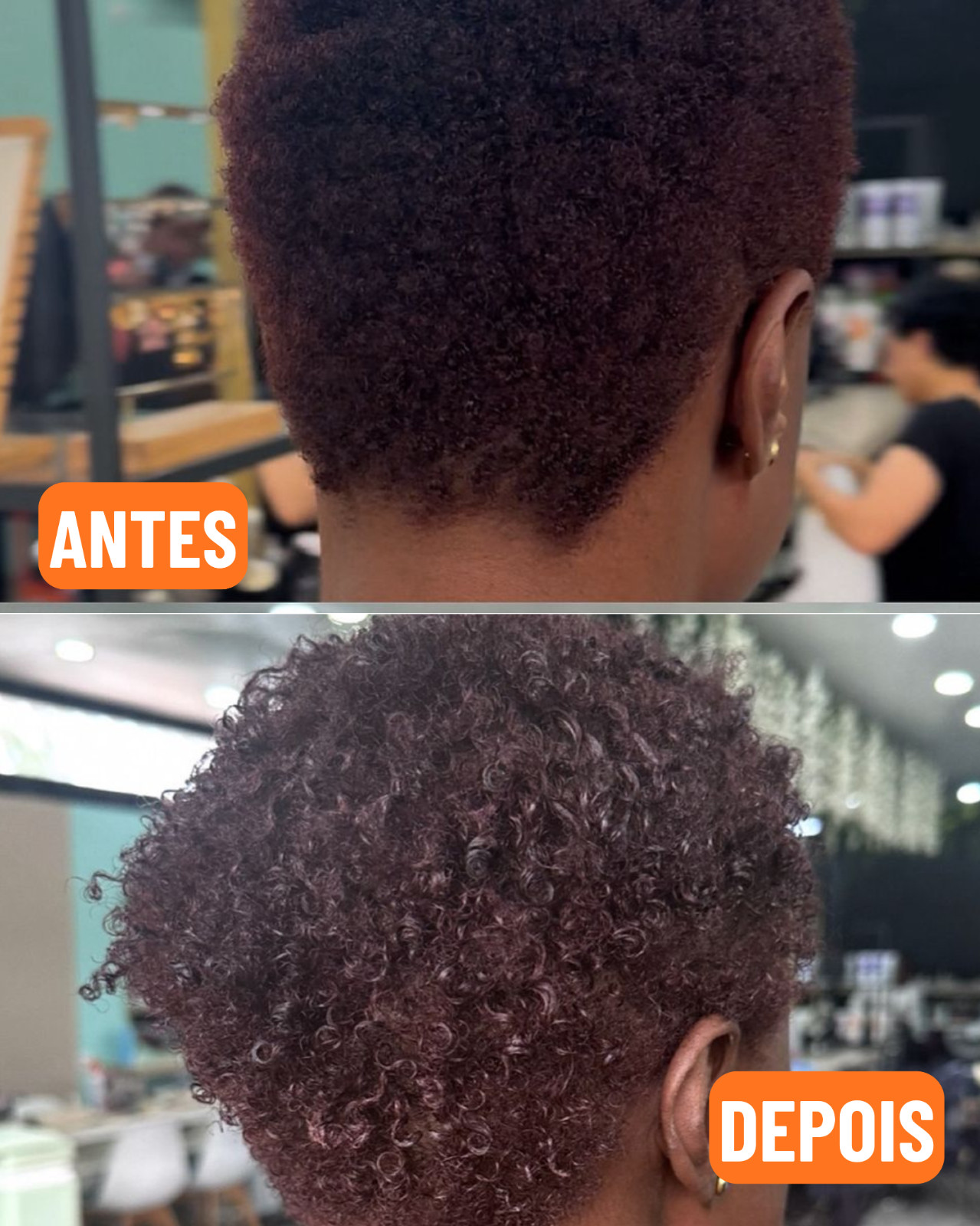 Mestre dos Cachos African Oils Kit – Deep Hair Nutrition, Shine & Curl Repair