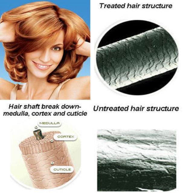 TRIPLE PROTEIN~FOR HAIR~ DAMAGED KERATIN TREATMENT/ REPAIRS/STRENGTHENS & GROWS