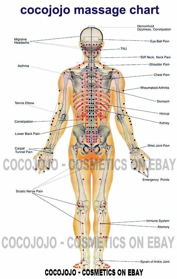 Organic Argan Oil Deodorized Cold Pressed Unrefined 100 Moroccan 16 Oz 1 Pint