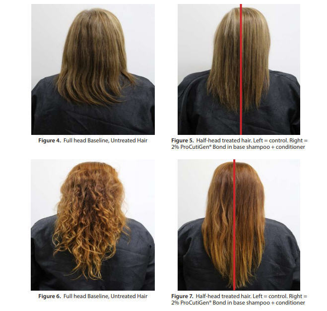HAIR SHIELD HAIR DAMAGE TREATMENT / HAIR STRENGTHEN