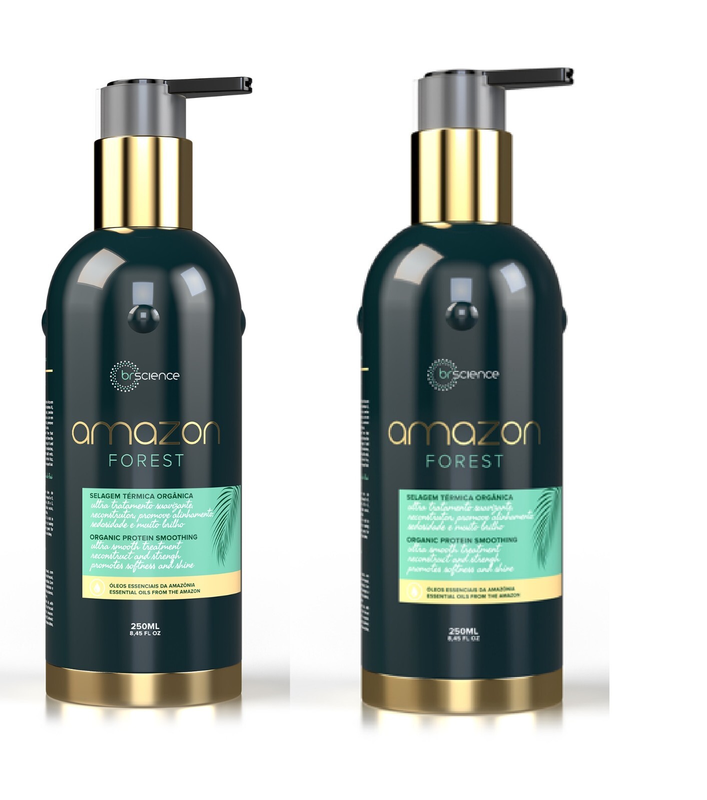 Kit Brscience Amazon Forest Organic Thermal Sealing Smooth Treatment 2×250mL